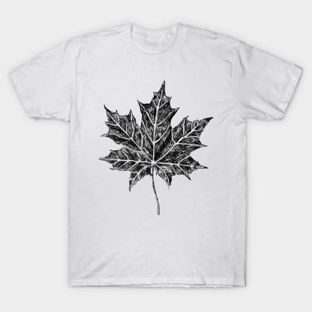 Maple Leaf Sketch T-Shirt by rachelsfinelines